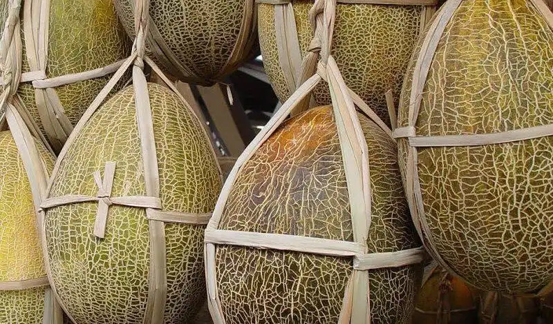 Продажа копченой рыбы, дыни и меда в Пензе