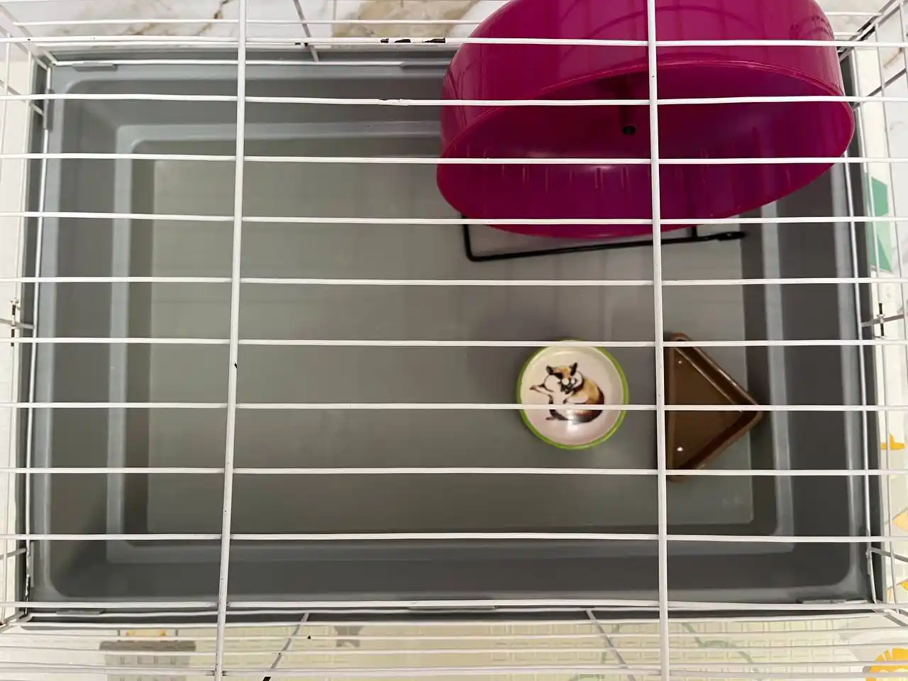 Клетка для грызунов с аксессуарами