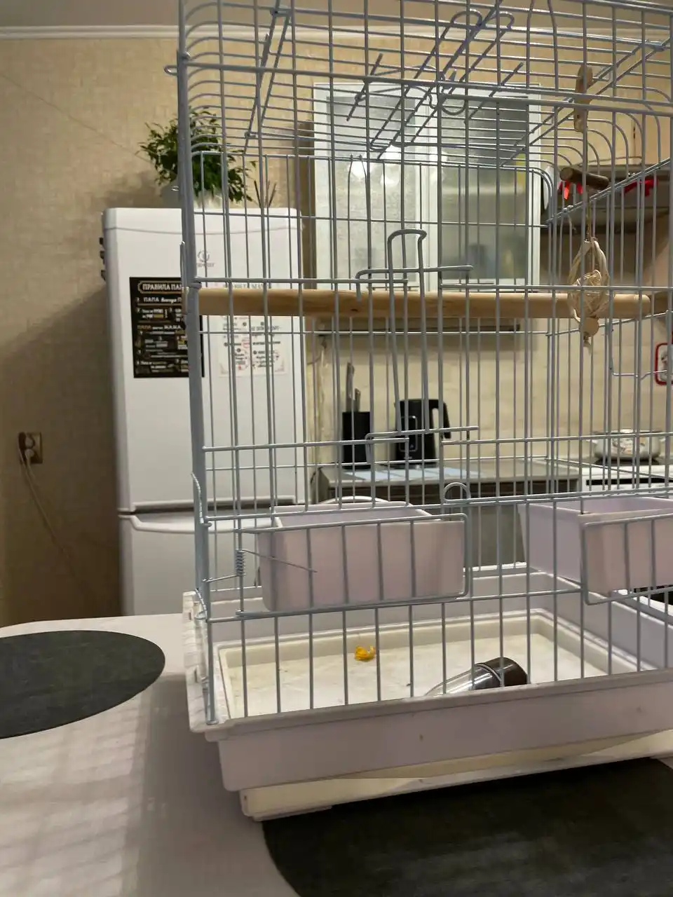 Клетка для попугая - Животные в Тюмень