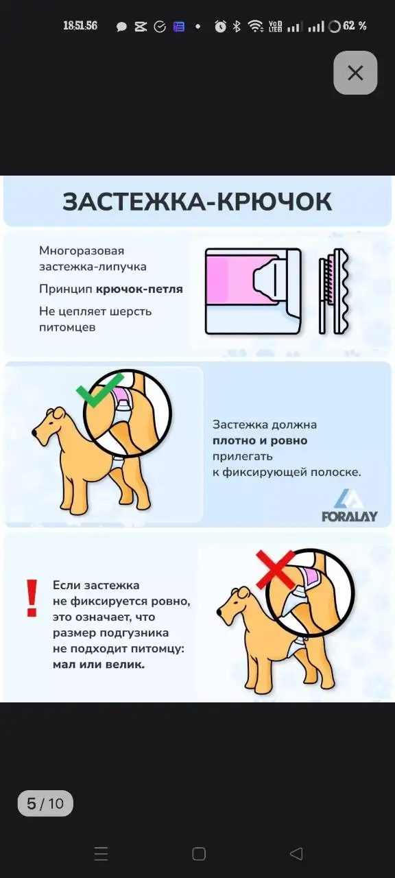 Подгузники-пояс для кобелей средних пород - Товары для животных (Животные) в Тюмень
