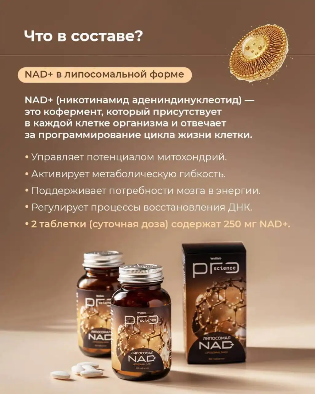 Липосомальный NAD+ для энергии и замедления старения