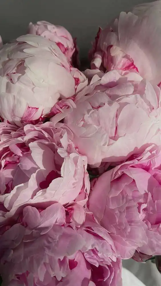 Розыгрыш сеансов массажа и маникюра-педикюра