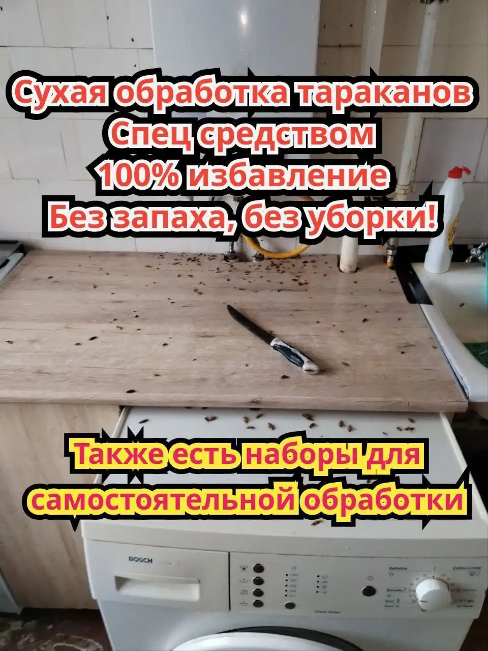 Уничтожение тараканов и клопов без запаха и уборки