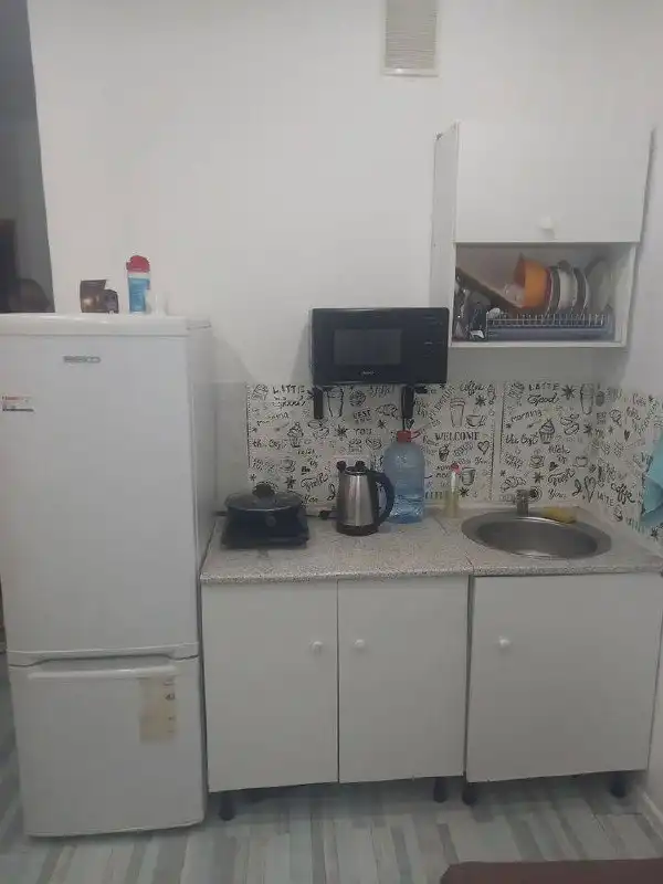 Рябикова 102