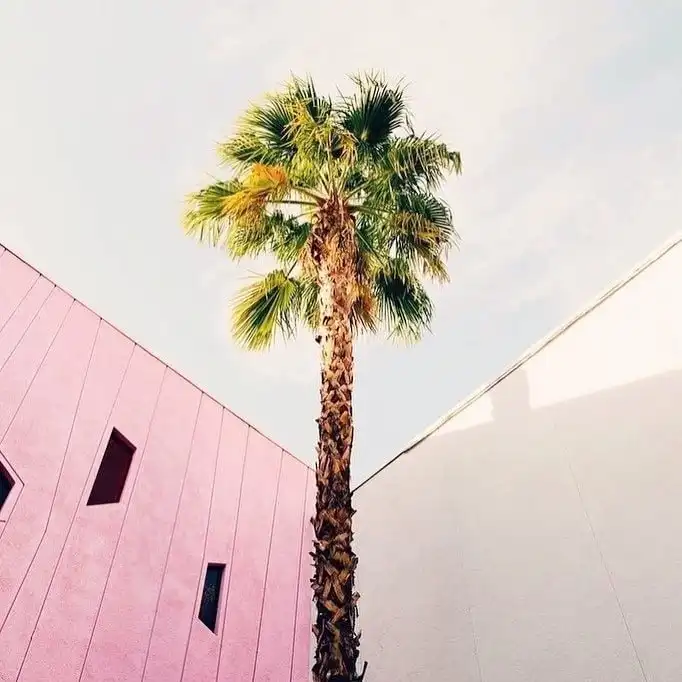 Электронная почта