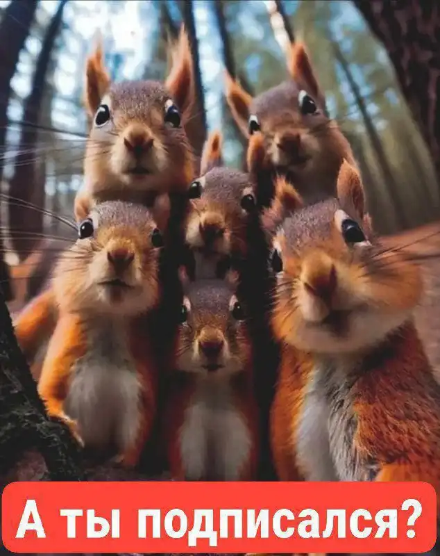 Бесплатное размещение объявлений