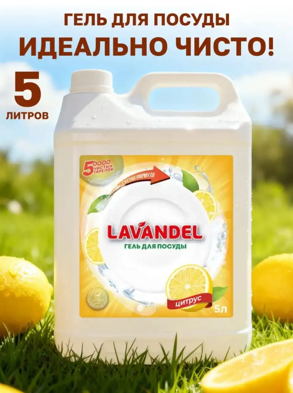 Средство для мытья посуды Lavandel 5л с ароматом цитруса