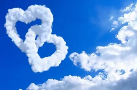 Онлайн гадание на Таро - Образование в Псковская область