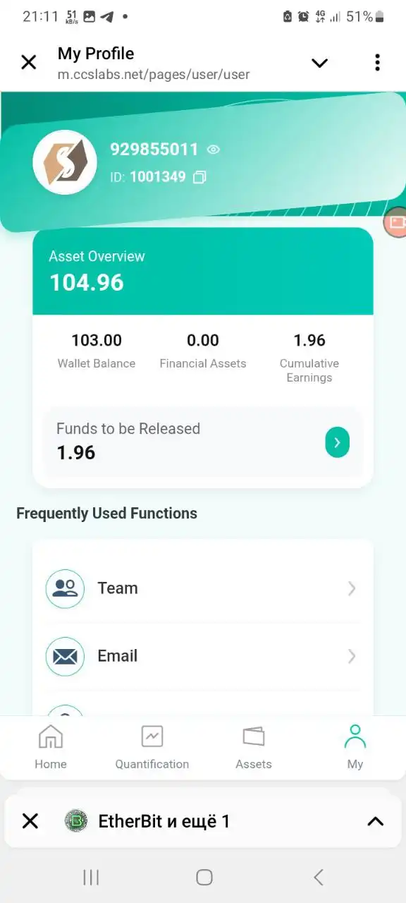 Платформа CCS Quantitative с инвестиционными уровнями и реферальной программой - Инвестиционные (Услуги) в Псковская область