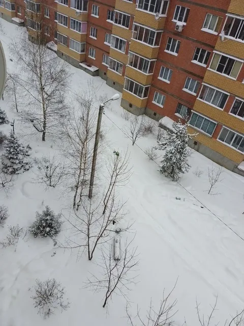 Сдача квартир в Марусино, Подмосковье - Недвижимость в Марусино