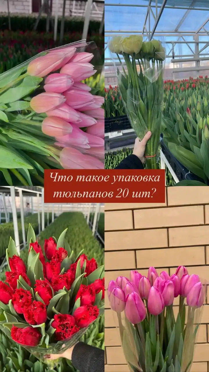 Заказ букетов из тюльпанов от 20 штук - Цветы (Хобби и отдых) в Псков