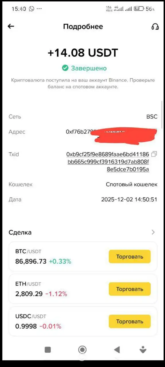 NFTalk: заработок на загрузке фото и привлечении рефералов - Удаленная работа (Работа) в Псков