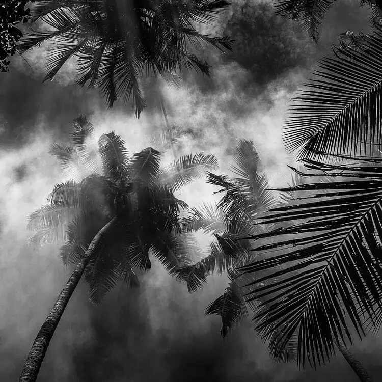 Авторская работа с цитатой Рене Декарта - Коллекционирование (Хобби и отдых) в Псковская область