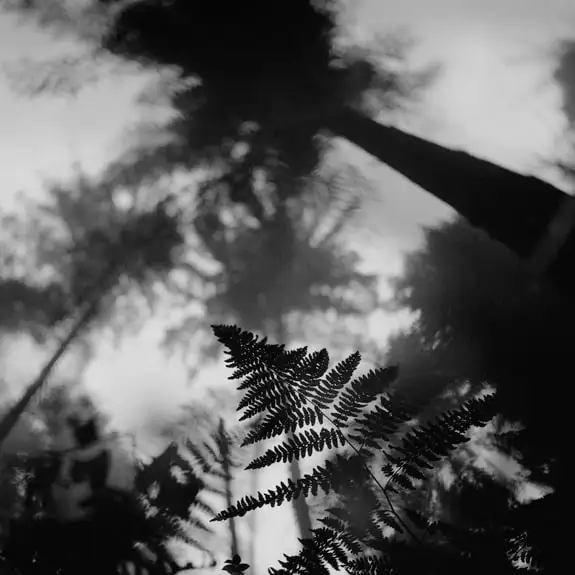 Авторская работа с цитатой Рене Декарта - Коллекционирование (Хобби и отдых) в Псковская область