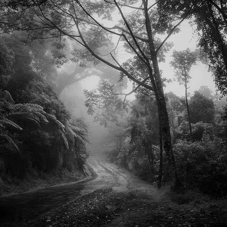 Авторская работа с цитатой Рене Декарта - Коллекционирование (Хобби и отдых) в Псковская область