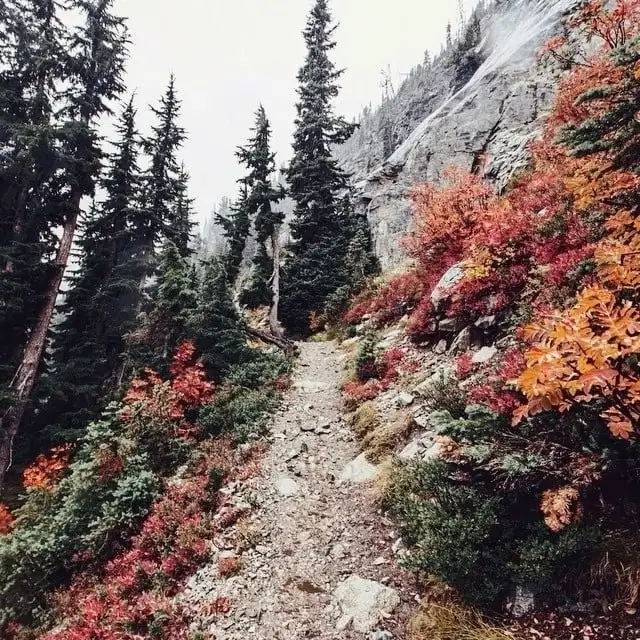 Авторская цитата Жюля Ренара - Коллекционирование (Хобби и отдых) в Псков