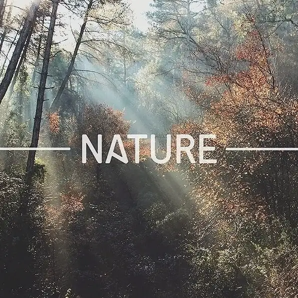 Авторская цитата Жюля Ренара - Коллекционирование (Хобби и отдых) в Псков