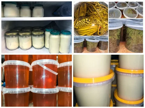 Продукты из Приморского края: медвежий жир, мед, папоротник - Одежда для беременных в Хабаровск