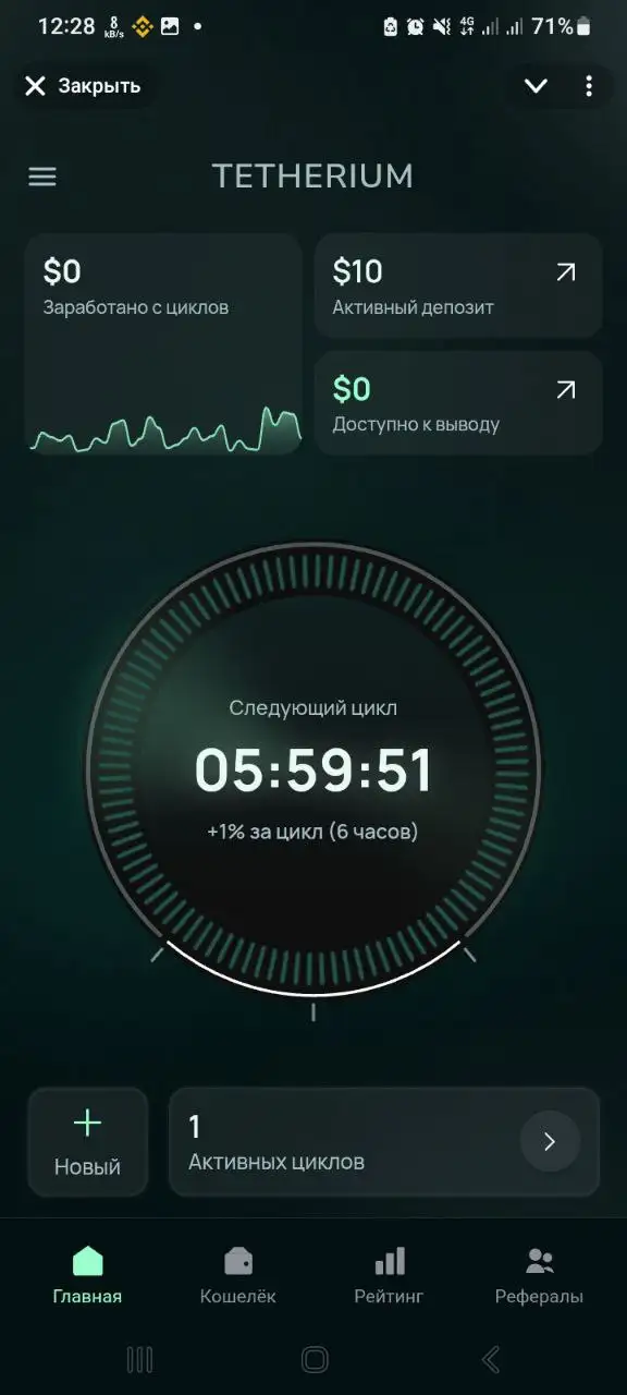 ЧАСОВЧИК 6 - инвестиционный проект - Финансовые услуги (Услуги) в Псковская область