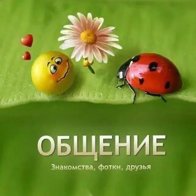 Объявление о группе в Telegram для общения и дружбы - Хобби и отдых в Псковская область