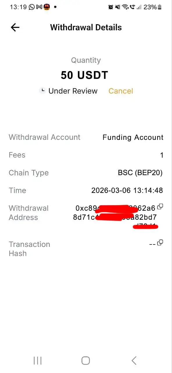 Минимальные инвестиции в торгового бота - Инвестиционные услуги (Услуги) в Псков