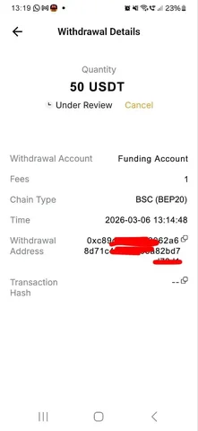 Минимальные инвестиции в торгового бота - Инвестиционные услуги в Псков