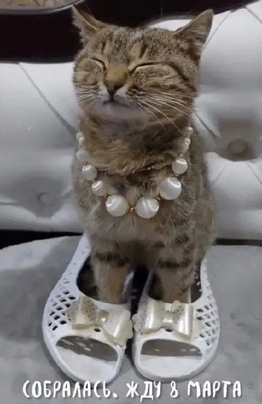 Женский Журнал КРАСОТКА - Барахолка в Псков