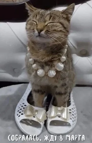 Женский Журнал КРАСОТКА - Электроника в Псков