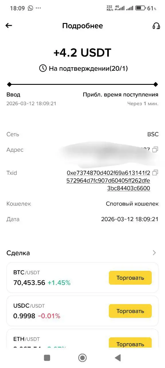 Инвестиции в майнинг с ежедневными выплатами - Финансовые инвестиции (Услуги) в Псковская область