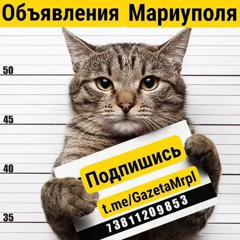 Бесплатное размещение объявлений - Услуги в Псков