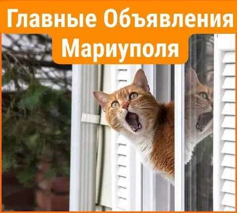Бесплатное размещение объявлений - Ремонт и обслуживание цифровой техники в Неизвестно