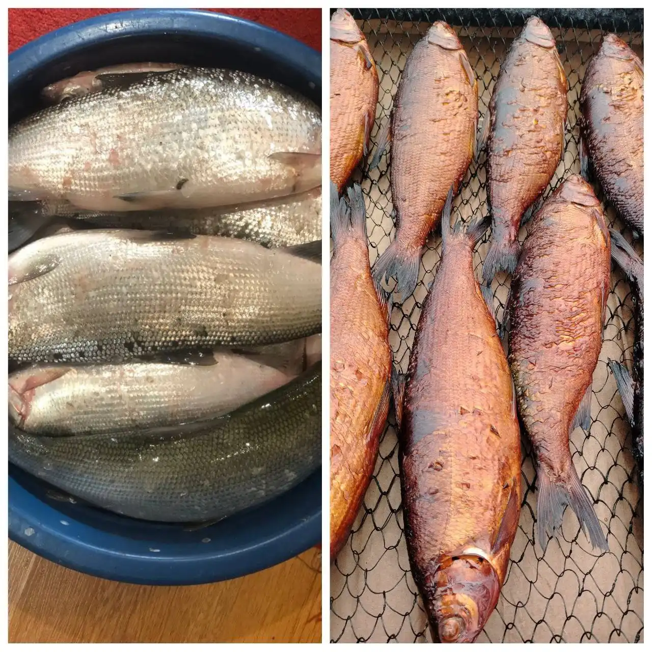 Продажа свежемороженной и копчёной пеляди