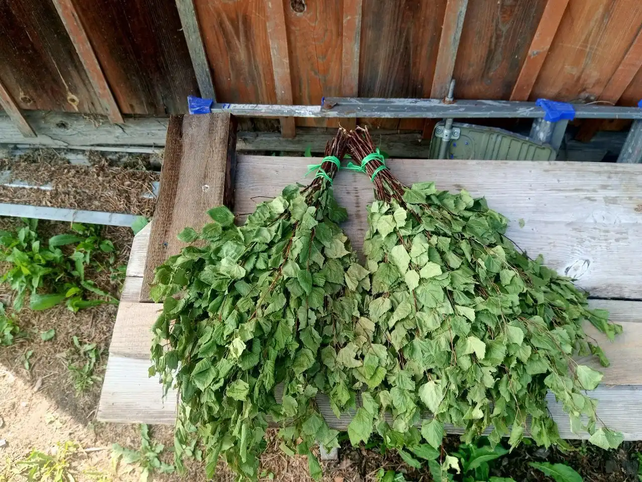 Тыква и помидоры в вакууме, веники для бани с доставкой - Продукты питания, товары для дома (Барахолка) в Тюмень