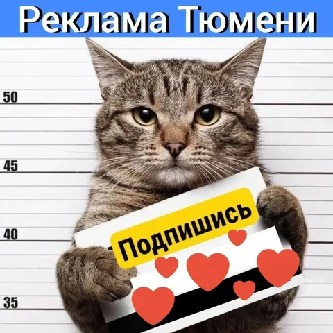 Объявления и услуги Тюмень - Электроинструменты в Тюмень