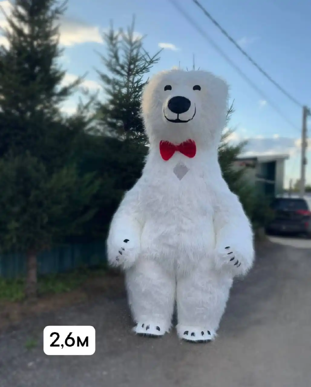 Аниматор в ростовом костюме мишки Фёдор-шоумен - Аниматор (Услуги) в Тюмень