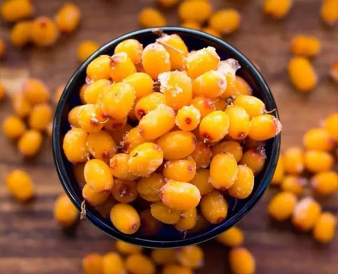 Замороженные ягоды оптом и в розницу - Ковры и ковровые покрытия в Тюмень