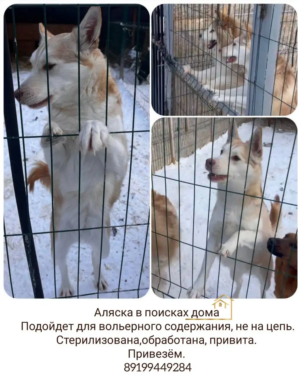 Аляска - Барахолка в Тюмень