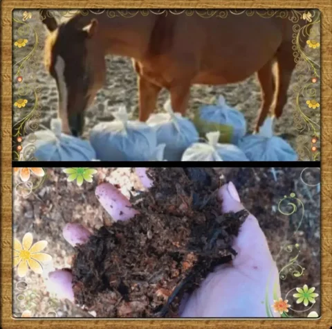 Доставка или самовывоз конского перегноя - Растения в Ембаево