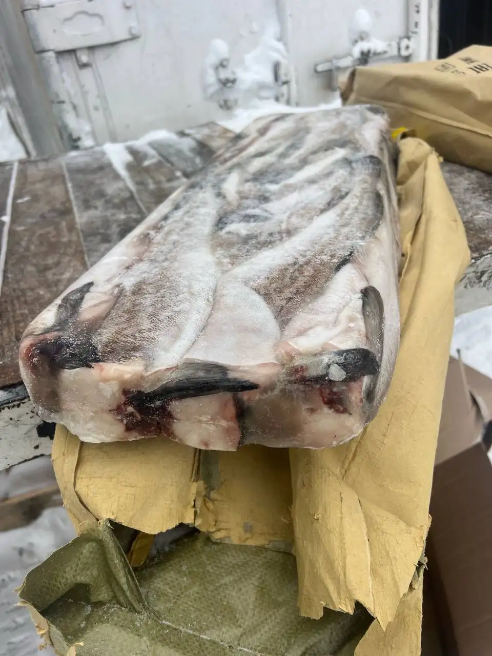 Свежее поступление минтая ПБГ разных размеров - Продукты питания (Барахолка) в Тюмень