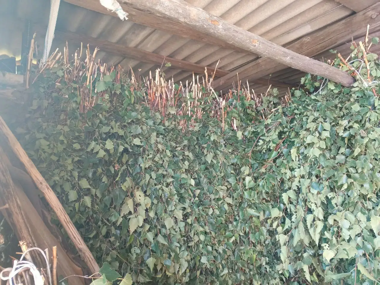 Продукты сельского хозяйства в Тюмени - Продукты (Барахолка) в Тюмень