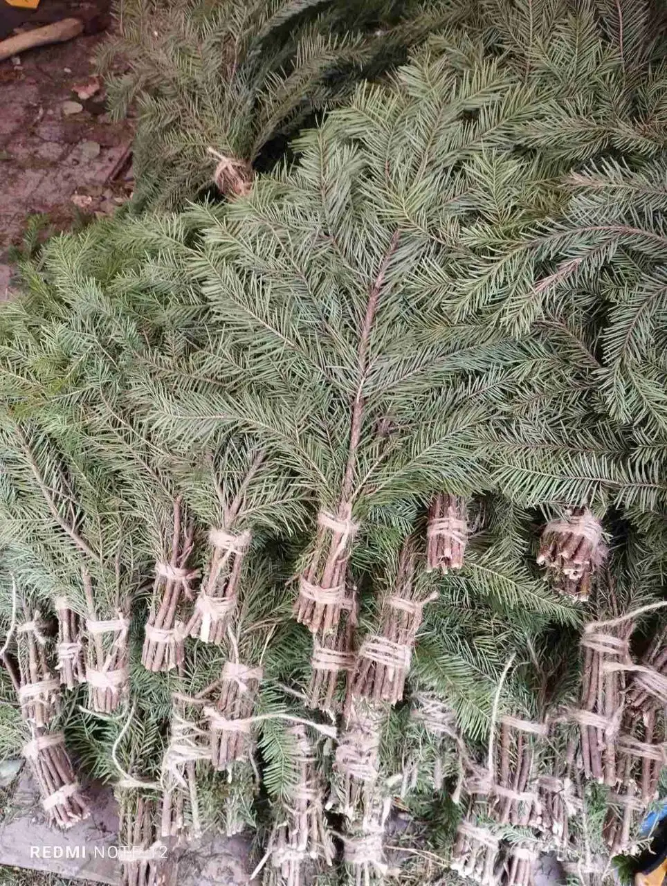 Продукты сельского хозяйства в Тюмени - Продукты (Барахолка) в Тюмень