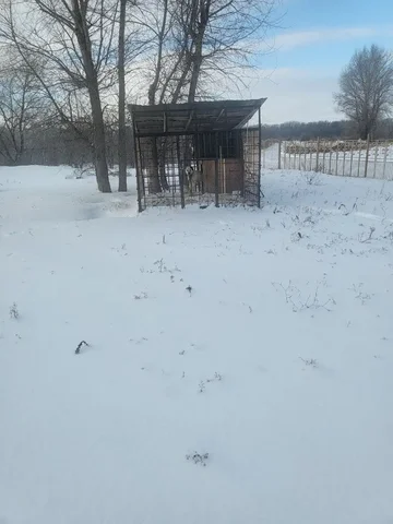 Срочно ищет дом алабай - частное объявление в Оренбург