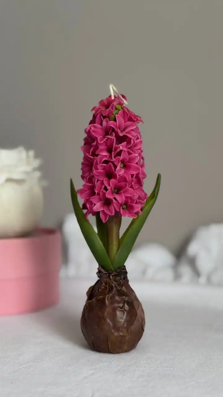 Свеча гиацинт