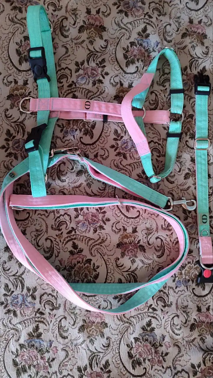 Комплект шлейка, поводок, ошейник для собак