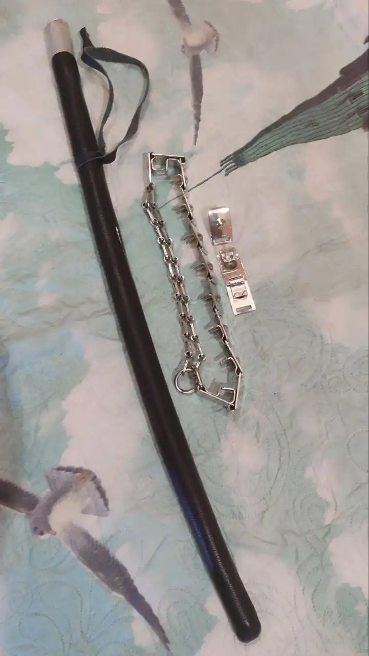 Продажа товаров для собак