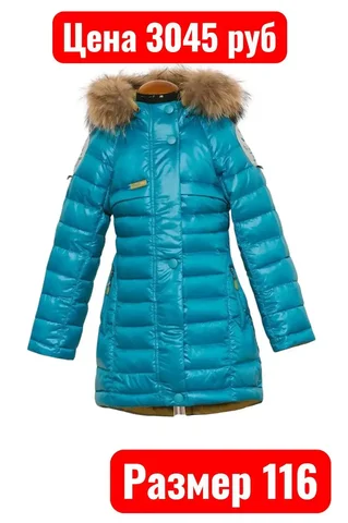 Зима, новое, опушка енот - Разное в Ангарск