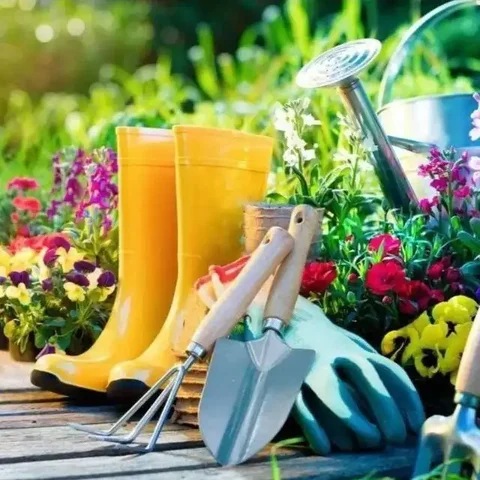 Дачники Сибири - обмен опытом и материалами - Хобби и отдых в Ангарск