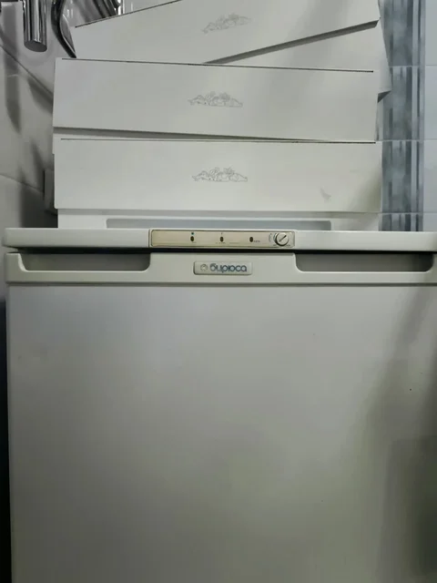 Продам морозилка и холодильник в Абакане - Растения в Абакан