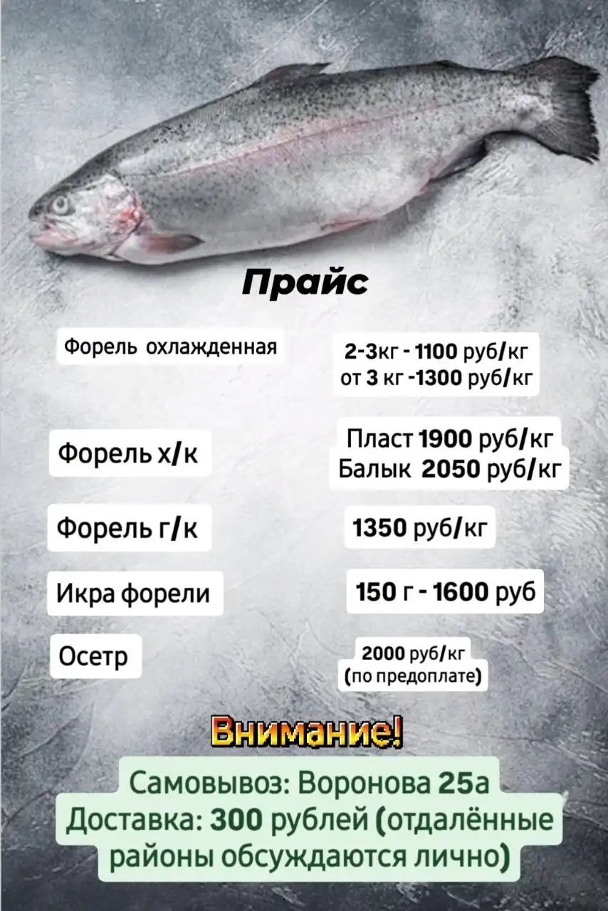 Саянская форель - Продукты питания (Барахолка) в Красноярск