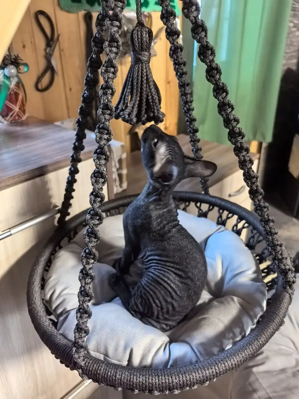 Гамак для кошки с подушкой - Одежда для детей в Красноярск